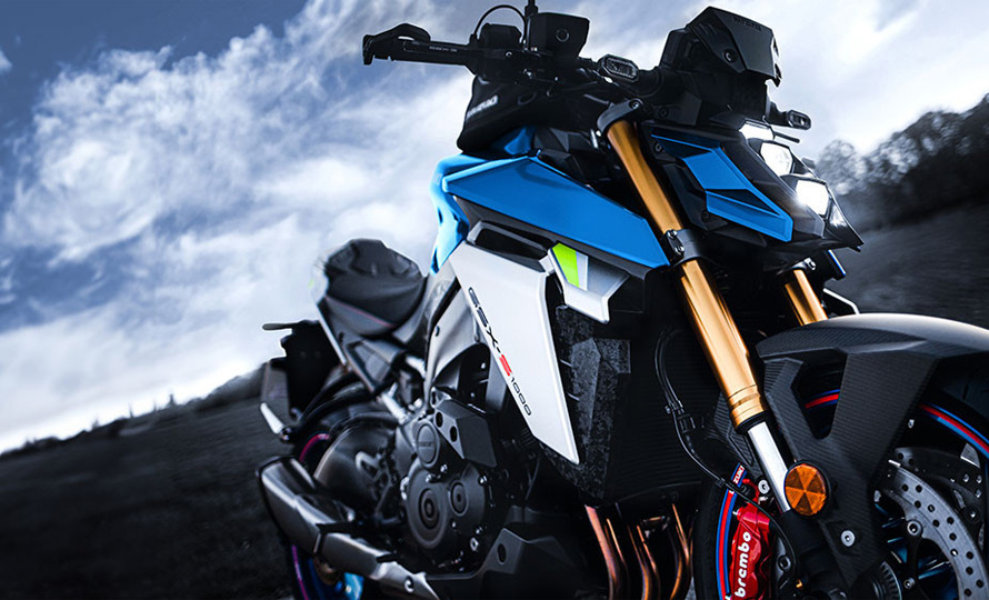 GSX-S1000 (8)